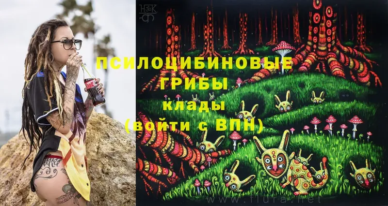 Галлюциногенные грибы Magic Shrooms  Мглин 